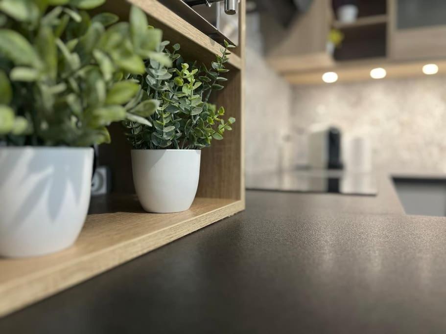 Appartement T2 Vue Panoramique Sur Annecy Seynod Zewnętrze zdjęcie
